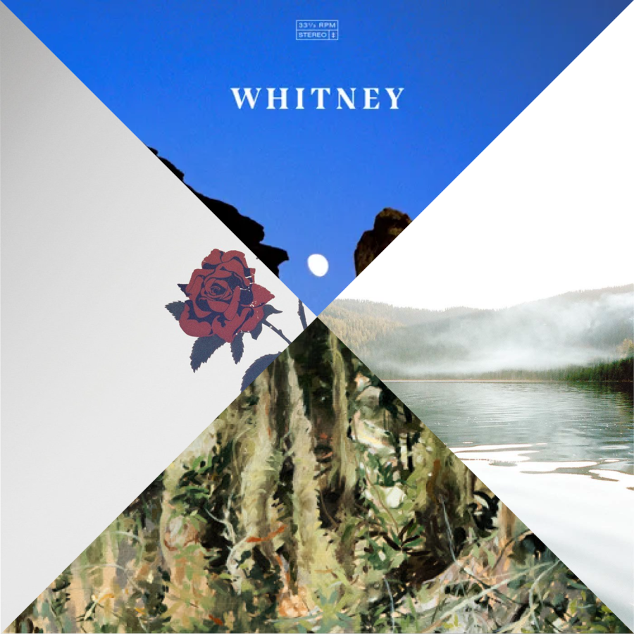 Whitney’s Discography: Your New Summer Playlist