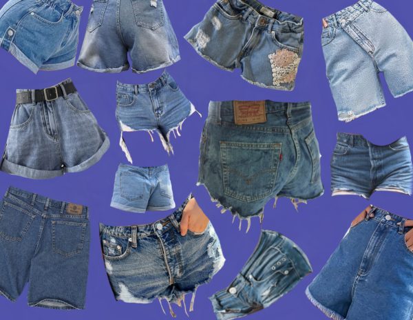 So Cute! Where Are Your Jorts From?