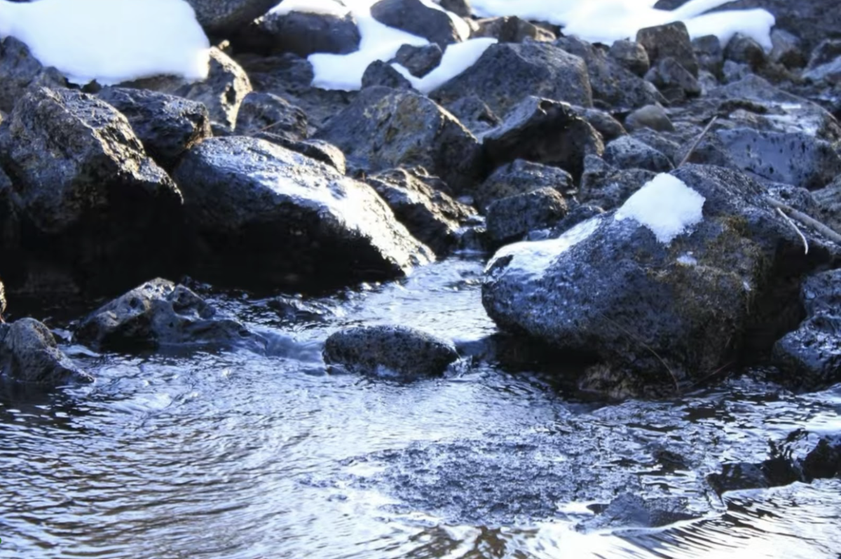 A small creek offshoot of the Lower Deschutes. / Photo credit: Lars Hanson 