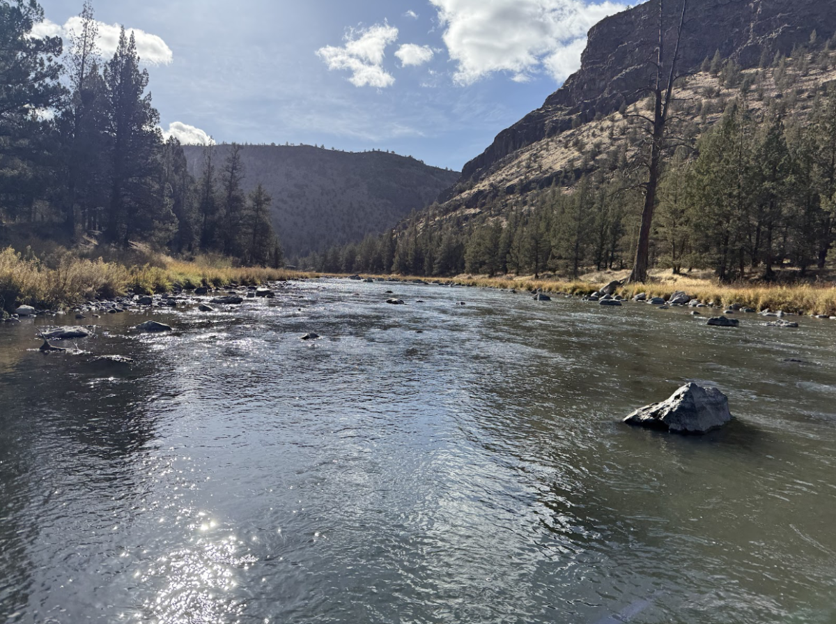 Perfect slow moving water, with great structure for rainbows out on the Crooked River