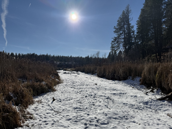 Channel of the Deschutes River that dries out during winter. /Credit: Lars Hanson