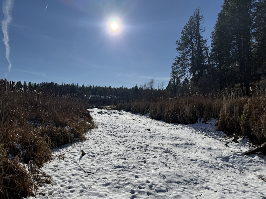Channel of the Deschutes River that dries out during winter. /Credit: Lars Hanson